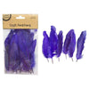 Craft Purple Feathers, 50pk, 14cm