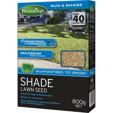 Shade Lawn Seed, 800g