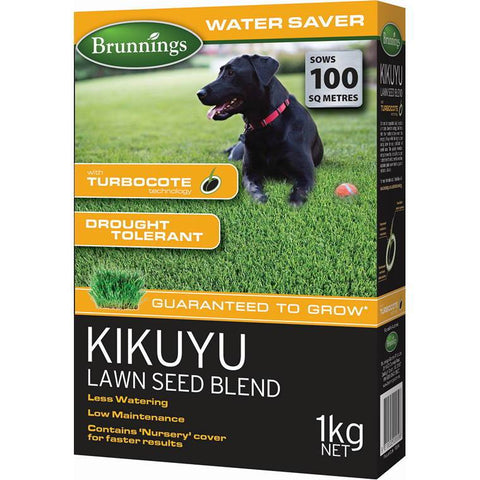 Kikuyu Lawn Seed Blend, 1kg