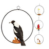 Australiana Birds w/ Hanging Ring 30X13X37cm 4 Assorted