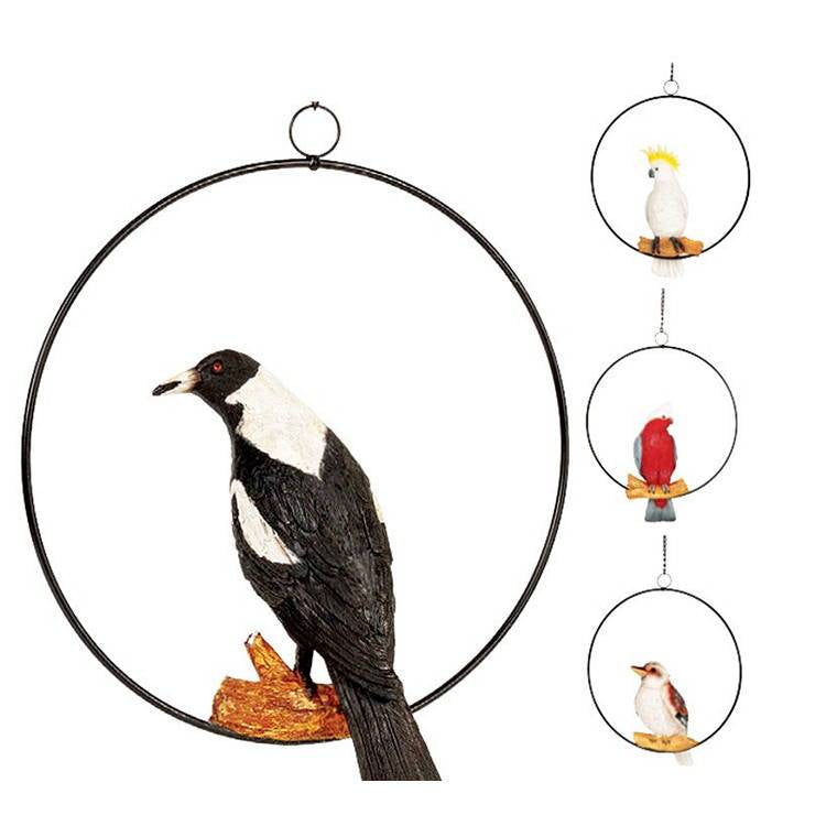 Australiana Birds w/ Hanging Ring 30X13X37cm 4 Assorted