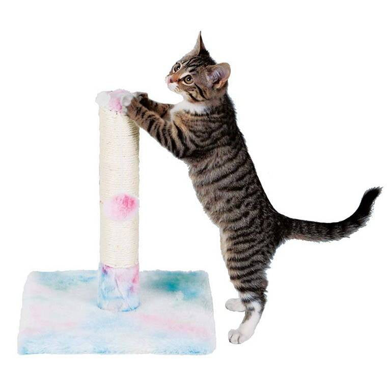 Rainbow Mini Cat Scratcher, 37cm, 2 Assorted