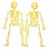 Favour Skeleton 2Pcs